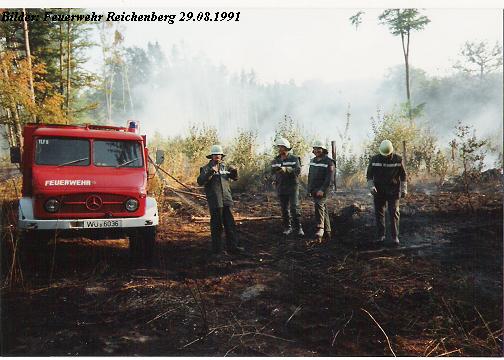 Waldbrand 1991